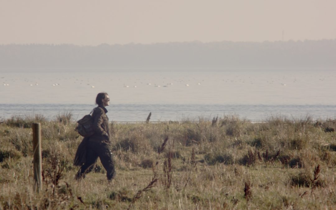 Protected: First Stills
